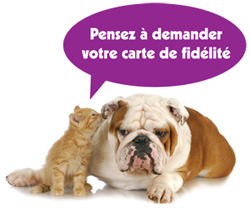 cart de fidelite